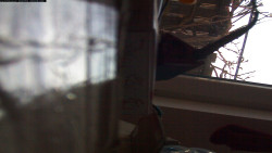 Pohled na jih, hrad Trosky