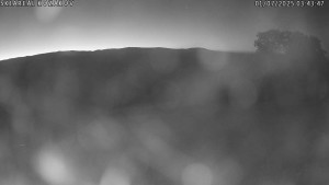 Ski Kozákov - Spodní část sjezdovky - 1.7.2025 v 03:45