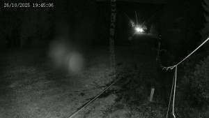 Lyžařský areál Hradiště - Sjezdovka - 26.10.2025 v 19:45 Lyžařský areál Hradiště - Sjezdovka - 26.10.2025 v 19:45