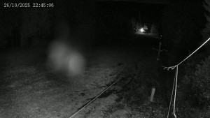 Lyžařský areál Hradiště - Sjezdovka - 26.10.2025 v 22:45 Lyžařský areál Hradiště - Sjezdovka - 26.10.2025 v 22:45