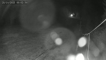 Snímek    28.10.2025 v 00:02