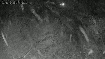 Snímek    1.11.2025 v 17:32