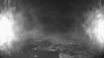 Snímek    16.10.2025 v 03:30