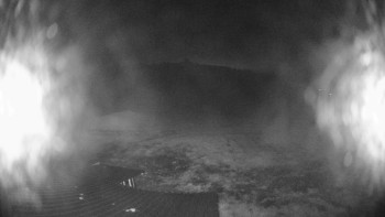 Snímek    17.10.2025 v 06:00