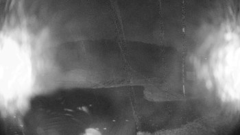 Snímek    3.11.2025 v 00:15