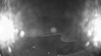 Snímek    14.11.2025 v 17:45