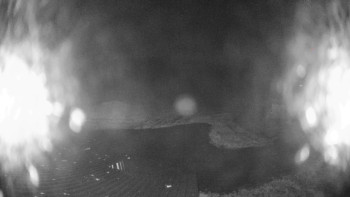 Snímek    14.11.2025 v 21:15