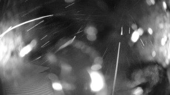 Skiareál Kozí pláně