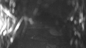 Skiareál Kozí pláně - Sjezdovka - 25.3.2026 v 01:45 Skiareál Kozí pláně - Sjezdovka - 25.3.2026 v 01:45