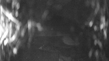 Skiareál Kozí pláně