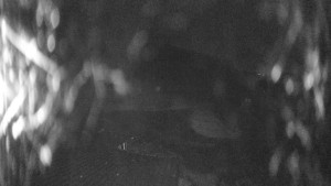 Skiareál Kozí pláně - Sjezdovka - 25.3.2026 v 04:45 Skiareál Kozí pláně - Sjezdovka - 25.3.2026 v 04:45