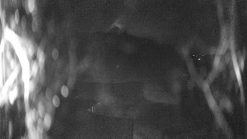 Skiareál Kozí pláně