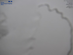 Jaderná elektrárna Dukovany