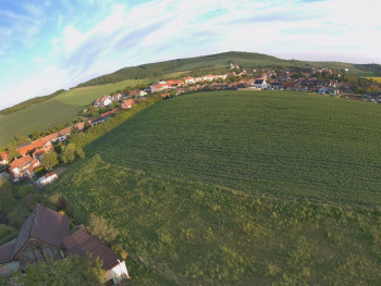 Snímek    9.5.2025 v 06:16