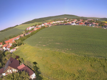 Snímek    12.5.2025 v 08:46