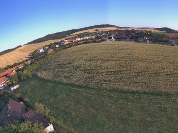 Snímek    1.7.2025 v 06:01