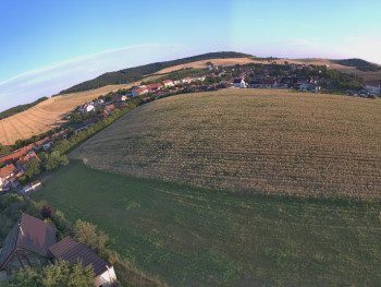 Snímek    3.7.2025 v 05:46