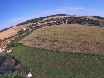 Snímek    3.7.2025 v 06:46