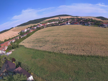 Snímek    3.7.2025 v 07:16