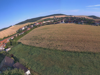 Snímek    5.7.2025 v 06:31