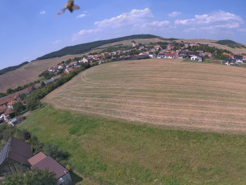 Snímek    15.8.2025 v 13:16