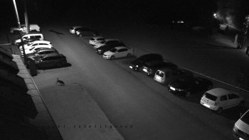 Snímek    13.9.2025 v 19:50