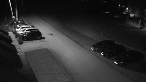 Horský hotel Čarták na Soláni - Hotel Čarták – parkoviště - 17.12.2025 v 16:55 Horský hotel Čarták na Soláni - Hotel Čarták – parkoviště - 17.12.2025 v 16:55