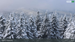 Smrčina / Hochficht