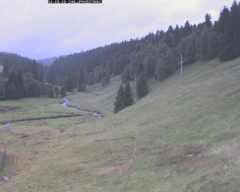 Snímek    4.7.2025 v 09:30