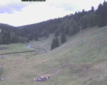 Snímek    12.7.2025 v 15:00