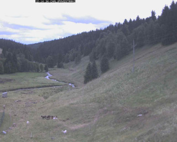 Snímek    12.7.2025 v 16:00