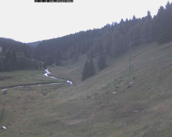 Snímek    12.7.2025 v 16:45