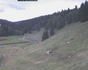 Snímek    12.7.2025 v 17:30