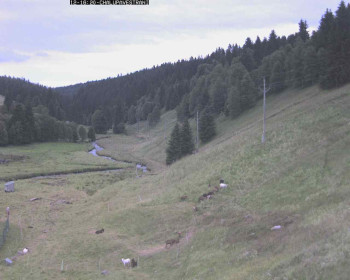 Snímek    12.7.2025 v 17:45