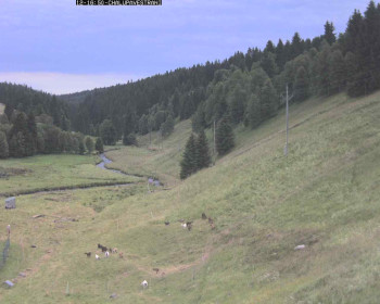 Snímek    12.7.2025 v 18:15