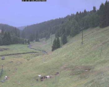 Snímek    16.7.2025 v 16:30