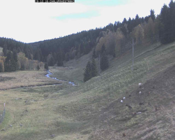 Snímek    19.10.2025 v 13:45