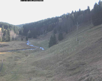 Snímek    4.11.2025 v 13:30