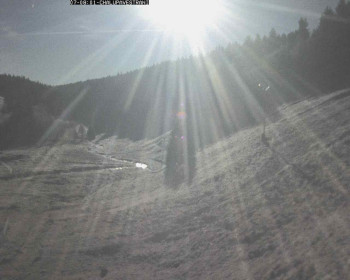 Snímek 7.11.2025 v 08:30