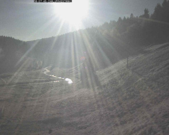 Snímek 8.11.2025 v 08:15