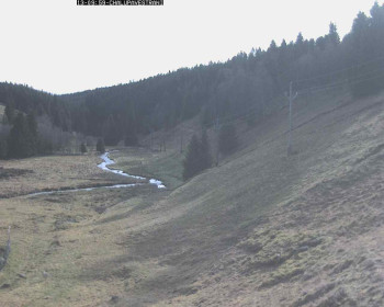 Snímek    13.11.2025 v 10:30