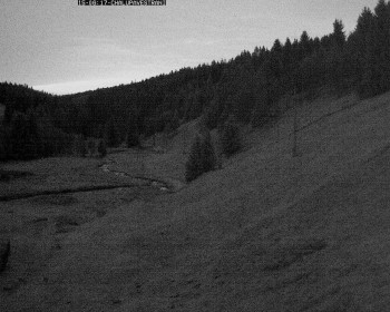 Snímek 15.11.2025 v 06:45