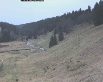 Snímek 15.11.2025 v 09:15