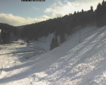 Snímek    19.11.2025 v 11:00