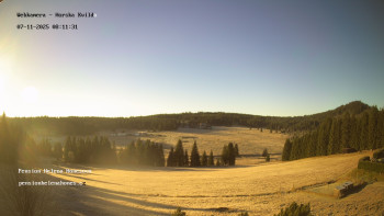 Snímek 7.11.2025 v 08:15