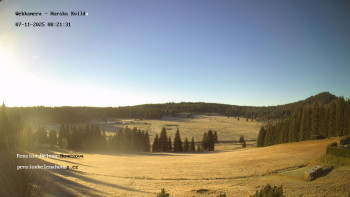 Snímek 7.11.2025 v 08:30