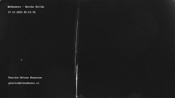 Pension Helena Honesová