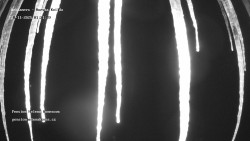 Pension Helena Honesová