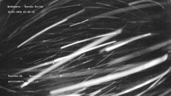 Pension Helena Honesová