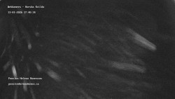 Pension Helena Honesová